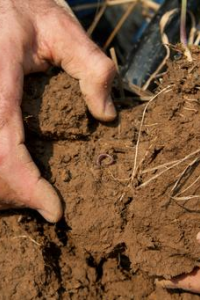 Image: USDA Natural Resources Conservation Service, An NRCS employee takes a soil sample on a farm that has incorporated many conservation practices to protect and enhance natural resources, Wikimedia Commons, Creative Commons Attribution-Share Alike 4.0 International