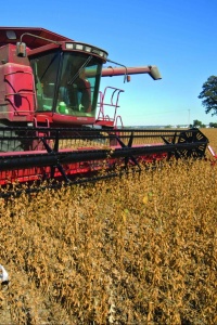 Image: United Soybean Board, Soybean harvest, Flickr, Creative Commons Attribution 2.0 Generic