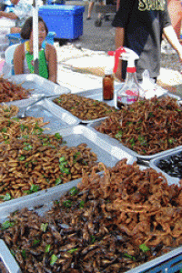 Insect food stall, Wikimedia Commons