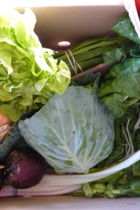 Image: WordRidden, Veg box, Flickr, Creative Commons Attribution 2.0 Generic