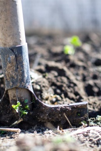 Image: Lukas, Brown shovel, Pexels, Pexels Licence