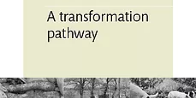 Cover: A transformation pathway