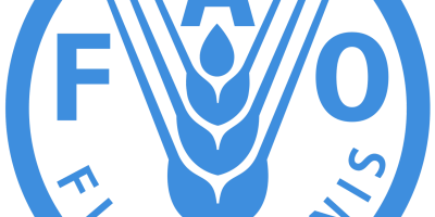 FAO logo