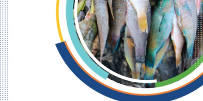 WorldFish research and innovation strategy for aquatic foods - report cover