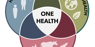 Livestock pathways to 2030: One Health