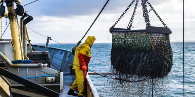 Image: Paul Einerhand, Fishing for mussels, Unsplash, Unsplash Licence.