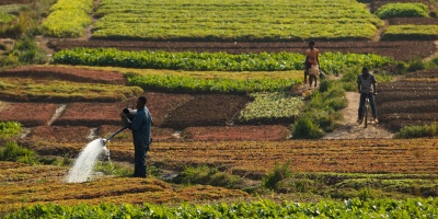 Agroecology