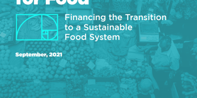 Making finance work for food