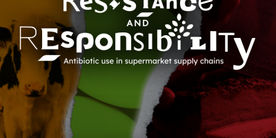Antibiotic use in supermarket supply chains
