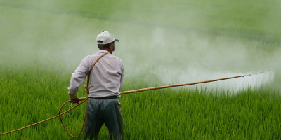 Image: wuzefe, Herbicide farmer in rice field, Pixabay, Pixabay Licence