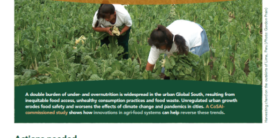 Potential of urban and periurban agriculture in the Global South