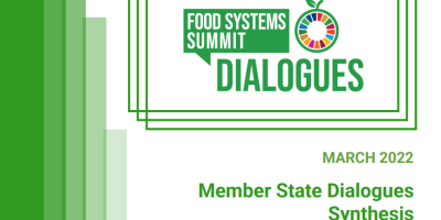 UNFSS Member State Dialogues Synthesis Report 4