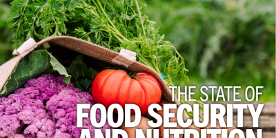 The State of Food Security and Nutrition in the World 2022