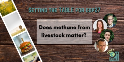 A flyer advertising the "Setting the Table for COP27" series and the event “Does methane from livestock matter?“ There is a photo strip of agricultural landscapes laying on a wooden table and the TABLE logo in the corner and photos of Martin Persson, Claudia Arndt, John Lynch, and Andy Reisinger.