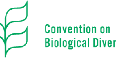 Convention on Biological Diversity