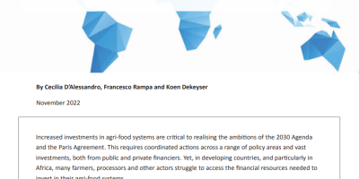 https://ecdpm.org/work/investing-sustainable-food-systems-methodology-and-lessons-learned-africa