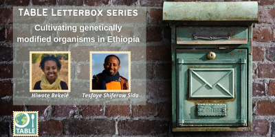 Series 1: Cultivating genetically modified organisms in Ethiopia with Hiwote Bekele and Tesfaye Shiferaw Sida (PhD)