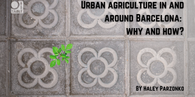 Urban agriculture in and around Barcelona: why and how? by Haley Parzonko