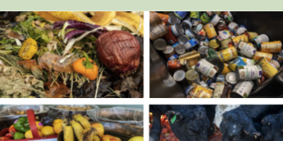 Cover of the 2019 Wasted Food Report by the United States Environmental Protection Agency.