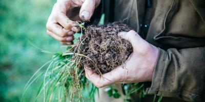 Regenerative Agriculture