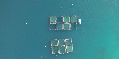 Aerial shot of fish farm. Photo by Deluca G via Pexels