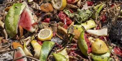 Pile of rotting fruit on ground. Photo by 11327359 via Pixabay.com