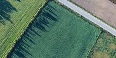 An aerial view of three rectangular agricultural fields along a road. Photo by Pexels via Pixabay.
