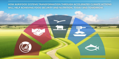 FAO report front cover with several SDG icons in a concentric ring set over an agricultural background. Title is "Achieving SDG2 Without Breaching the 1.5C Threshold".