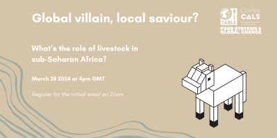 A flyer for the event “Global villain, local saviour? What’s the role of livestock in sub-Saharan Africa?” on March 28 at 4pm GMT and co-hosted by Cornell Food Systems & Global Change and TABLE. The image is a beige background with grey waveforms on the bottom and a cubic animation of a cow.