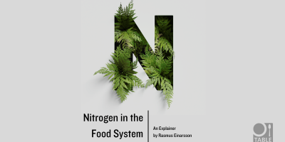 A flyer for the TABLE explainer by Rasmus Einarsson called "Nitrogen in the Food System" with an image of a cutout letter "N" with ferns growing through.