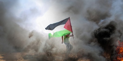 Image of someone holding a Palestinian flag in a burning field. Photo by hosnysalah via Pixabay