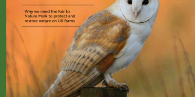 Image: front cover of Fair to Nature report titled “without nature there is no food”