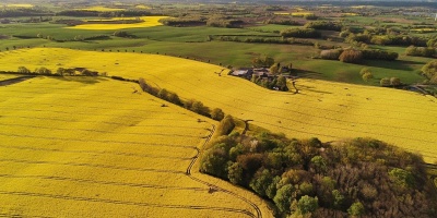 An aerial view of an agricultural landscape with pastures, fields of oil rape seed and forests. Photo by rainerh11 via pixabay
