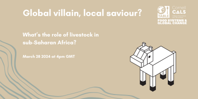 A flyer for the event “Global villain, local saviour? What’s the role of livestock in sub-Saharan Africa?” on March 28 at 4pm GMT and co-hosted by Cornell Food Systems & Global Change and TABLE. The image is a beige background with grey waveforms on the bottom and a cubic animation of a cow.