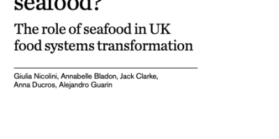 Image of the role of seafood in food systems transformation report title page
