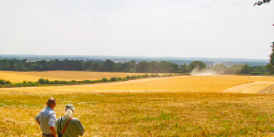 Front cover of report titled “Farming at the sweet spot” with two farmers standing looking out over a golden field.