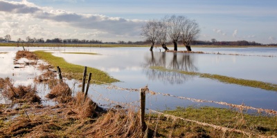 Flooding in field
