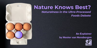 A flyer for the new explainer from TABLE called "Nature Knows Best? Naturalness in the Ultra-Processed Foods Debate" by Hester van Hensbergen with an image of an egg carton with one blue egg.