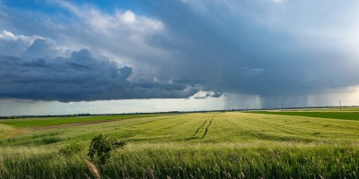 A field of wheat with a raining storm cloud in the distance. Image by Ottó from Pixabay