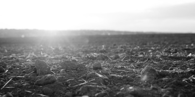 The sun sets over hay-strewn ground in black and white. Photo by AdobeStock.