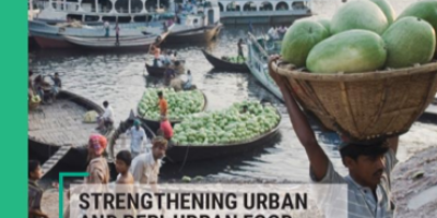 Report cover from HLPE on urban and peri-urban food systems