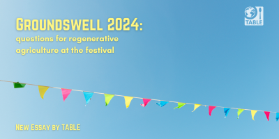 Groundswell 2024: questions for regenerative agriculture at the festival (image shows bunting against blue sky)