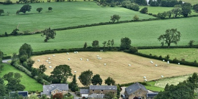 Aerial view of sheep farm. Image by Siggy Nowak from Pixabay