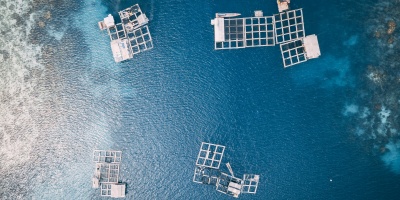 Aerial view of fish cages in a body of water. Photo by Hanson Lu via Unsplash.