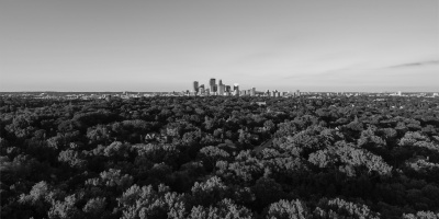 Cityscape between trees and sky in black and white - image by Josh Sorenson, Unsplash