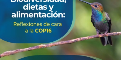 imagen de invitacion webinar biodiversidad y dietas 16 ago