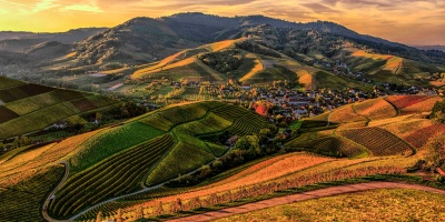 Mosaic of different fields and land use