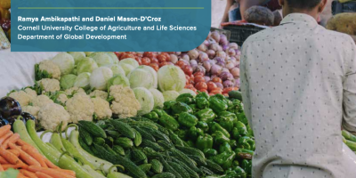 Picture of man at vegetable stand with report title