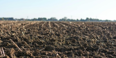 Picture of a plants germinating in a field. Credit: Jan Kroon via Pexels