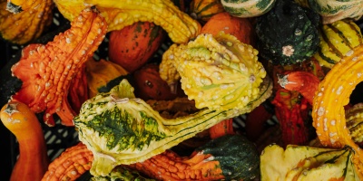 Pictures of weird squashes. Credit: Kelly via pexels